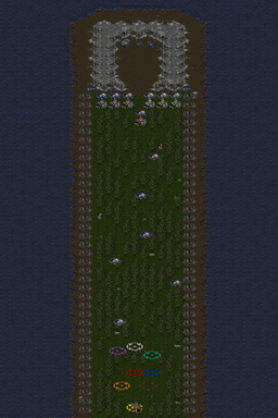 Bear Attack!!! — map preview