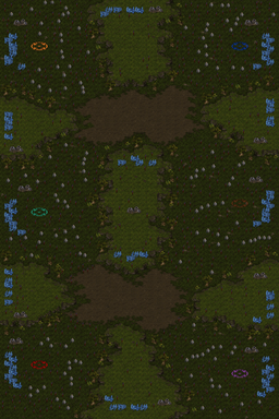 Crazy Critters — map preview