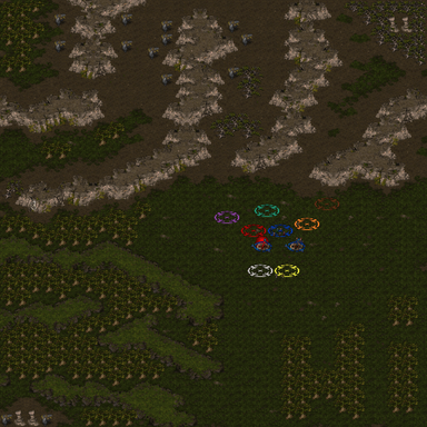 Monkey hide n go seek — map preview