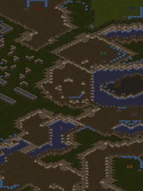 Neo Jungle — map preview